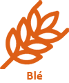 Blé